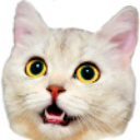 cat-surprised sample